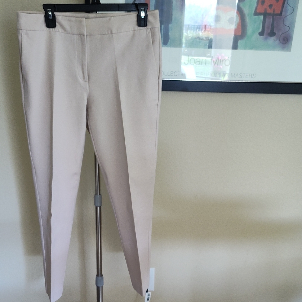 Ann Taylor Factory Blush Pants, Size 6
